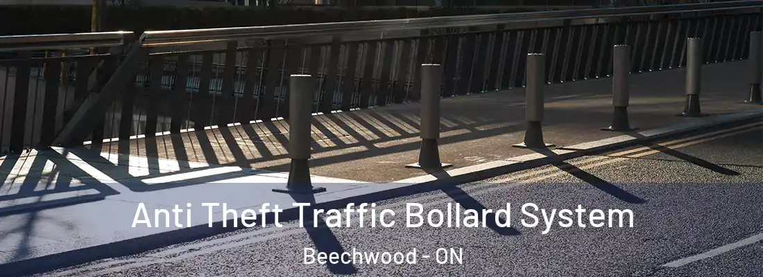  Anti Theft Traffic Bollard System Beechwood - ON