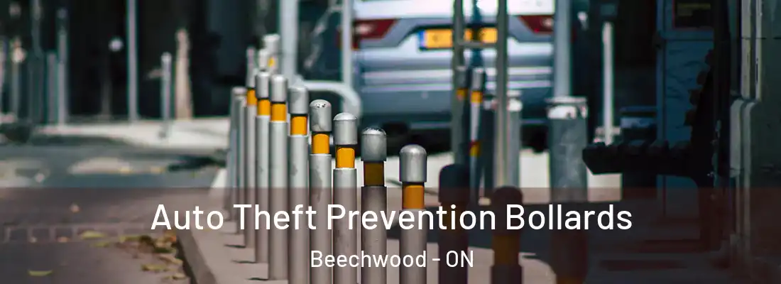  Auto Theft Prevention Bollards Beechwood - ON
