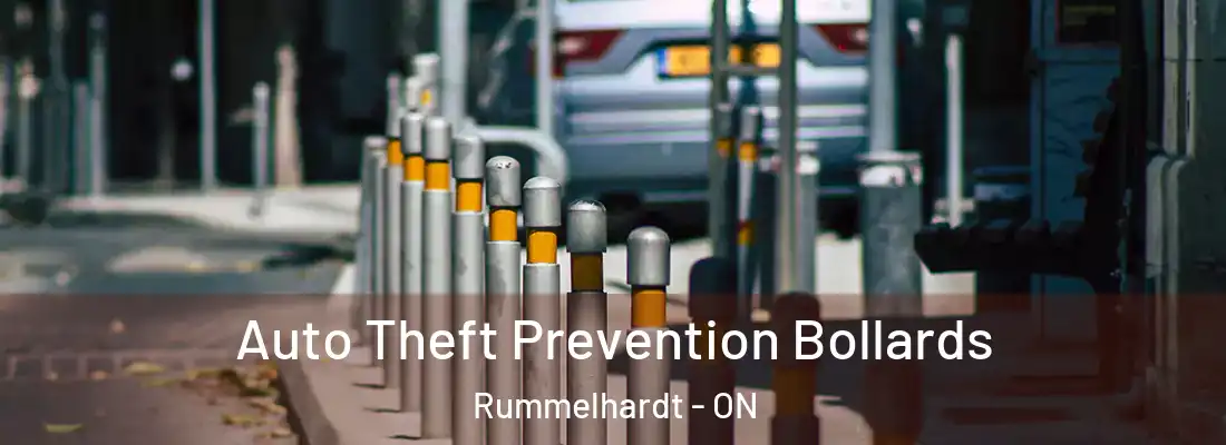  Auto Theft Prevention Bollards Rummelhardt - ON