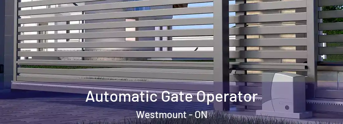  Automatic Gate Operator Westmount - ON