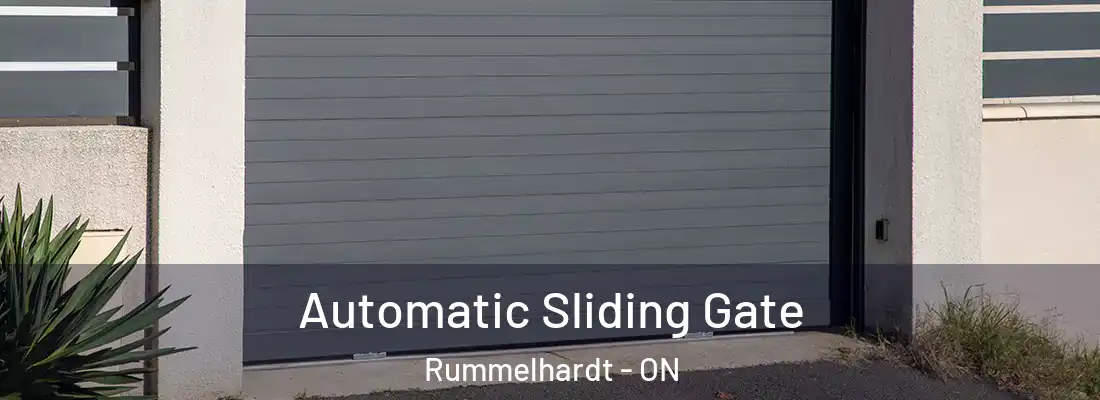  Automatic Sliding Gate Rummelhardt - ON