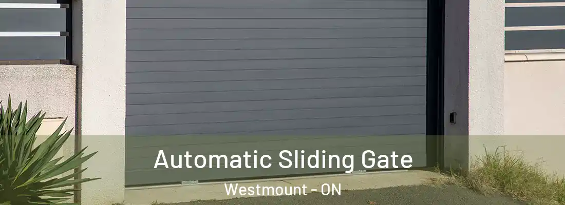  Automatic Sliding Gate Westmount - ON