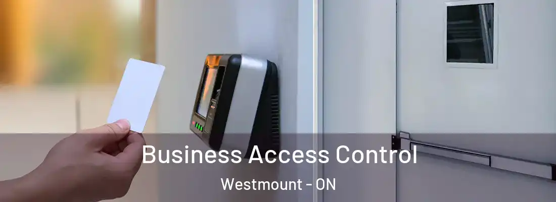  Business Access Control Westmount - ON