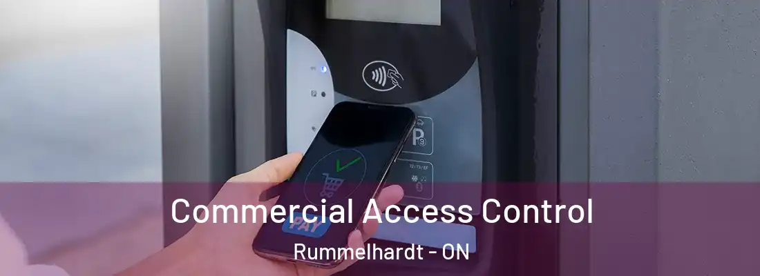 Commercial Access Control Rummelhardt - ON
