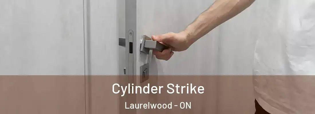  Cylinder Strike Laurelwood - ON
