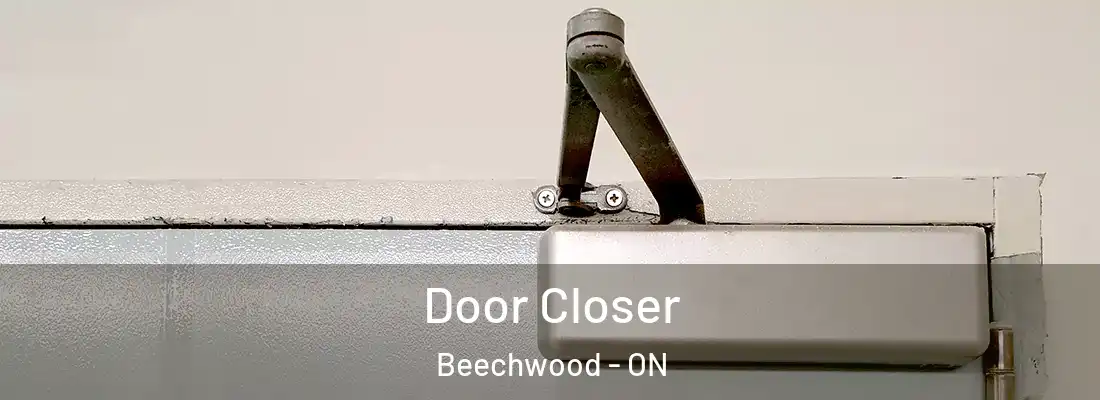  Door Closer Beechwood - ON