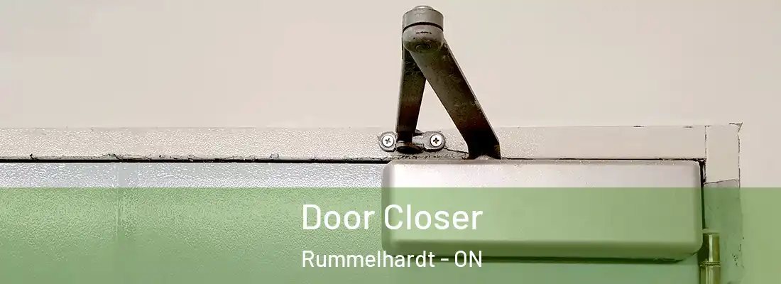  Door Closer Rummelhardt - ON