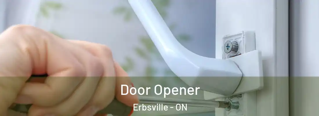 Door Opener Erbsville - ON