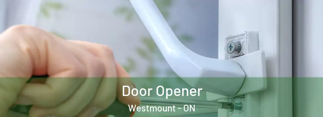  Door Opener Westmount - ON