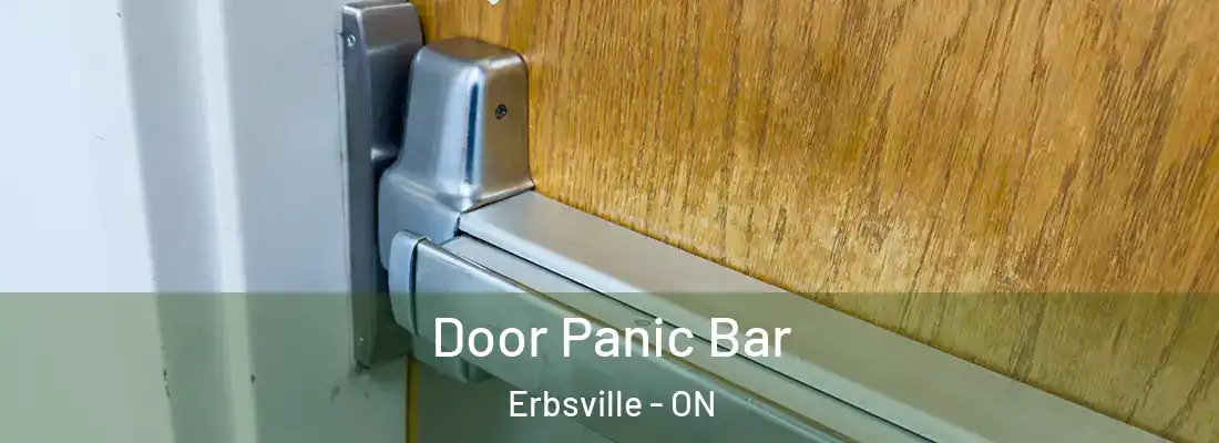  Door Panic Bar Erbsville - ON