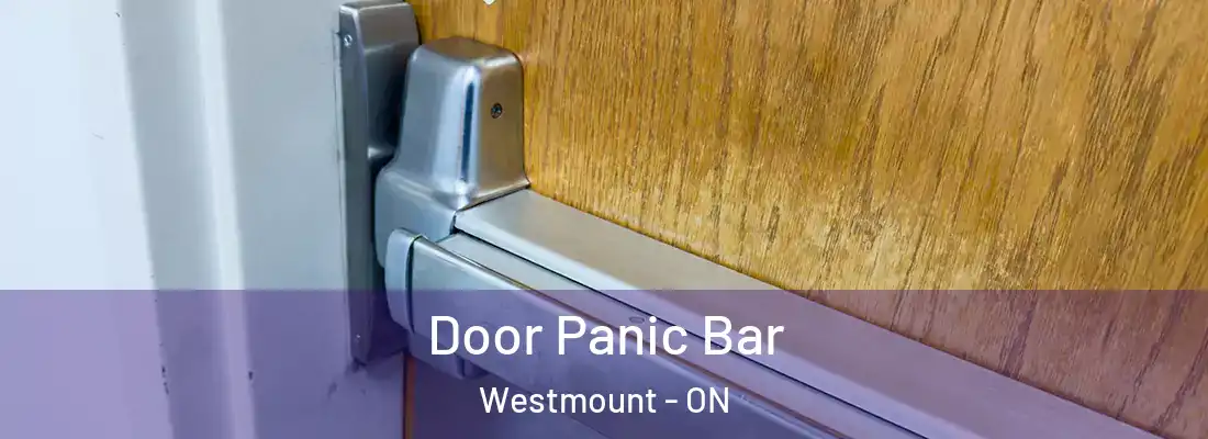  Door Panic Bar Westmount - ON