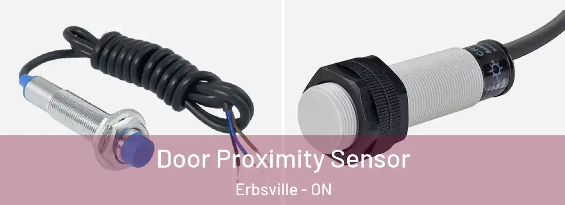  Door Proximity Sensor Erbsville - ON