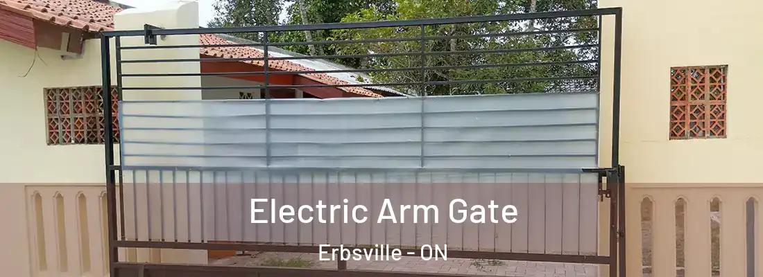  Electric Arm Gate Erbsville - ON