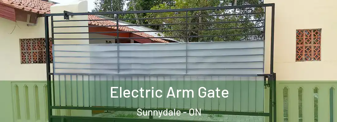  Electric Arm Gate Sunnydale - ON