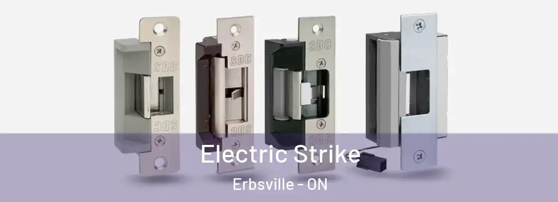  Electric Strike Erbsville - ON