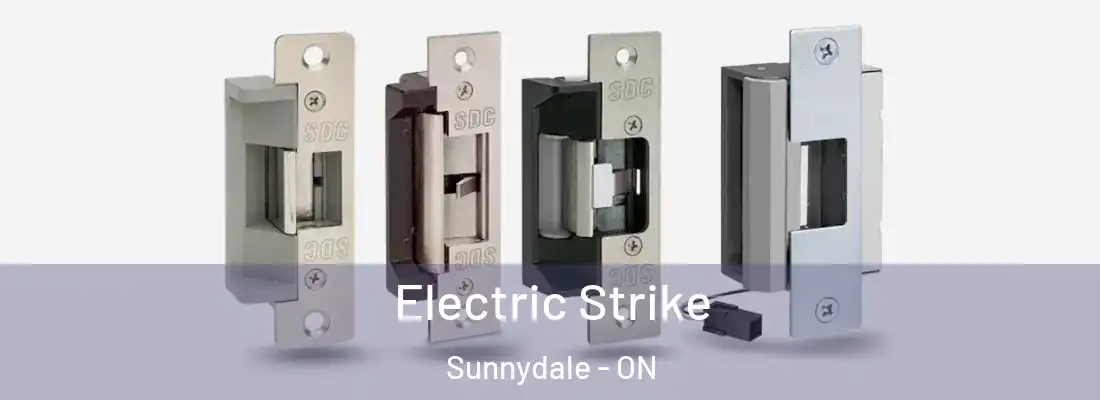  Electric Strike Sunnydale - ON
