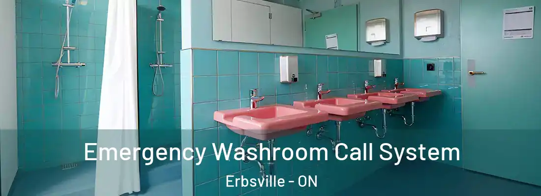  Emergency Washroom Call System Erbsville - ON