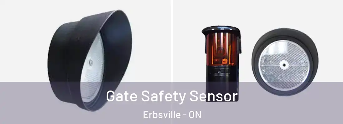  Gate Safety Sensor Erbsville - ON