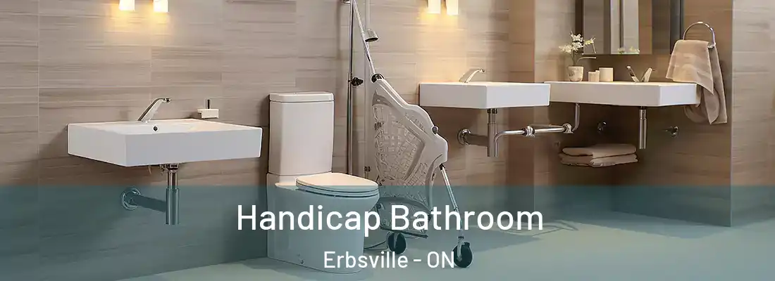  Handicap Bathroom Erbsville - ON