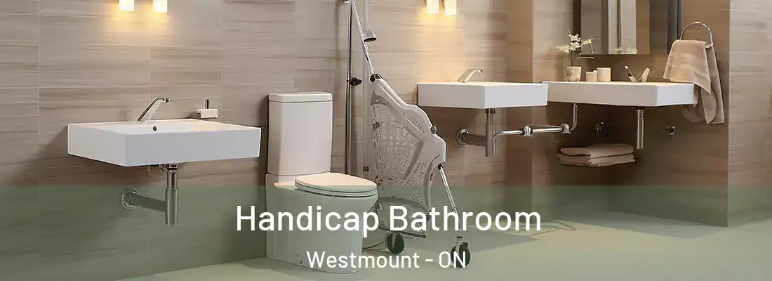  Handicap Bathroom Westmount - ON