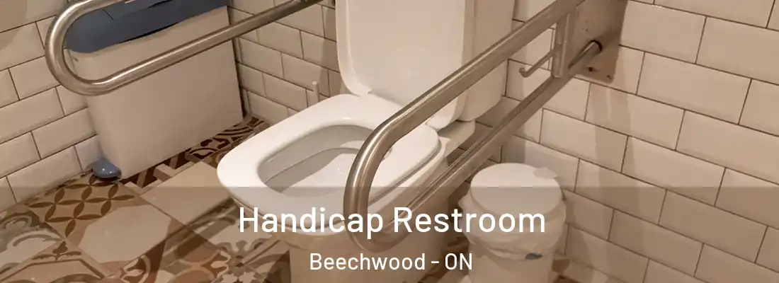  Handicap Restroom Beechwood - ON