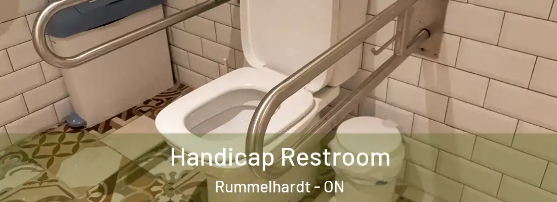  Handicap Restroom Rummelhardt - ON