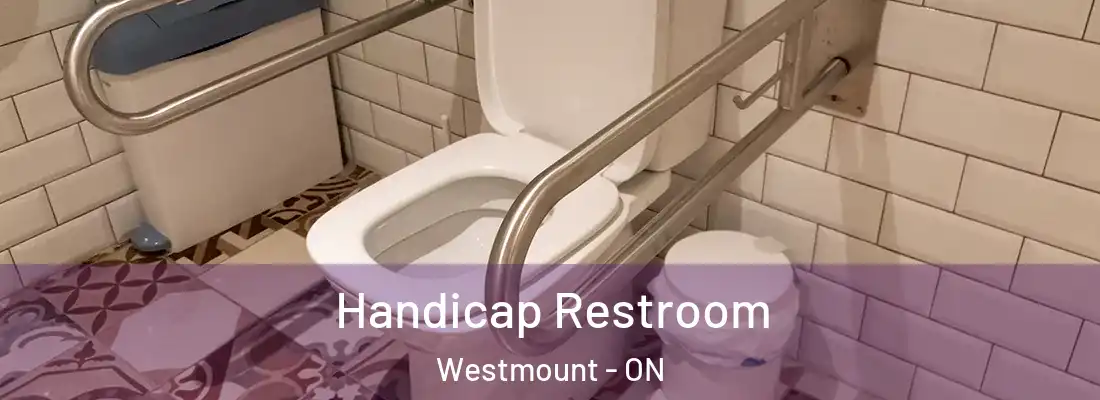  Handicap Restroom Westmount - ON