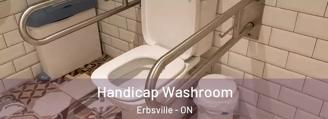  Handicap Washroom Erbsville - ON