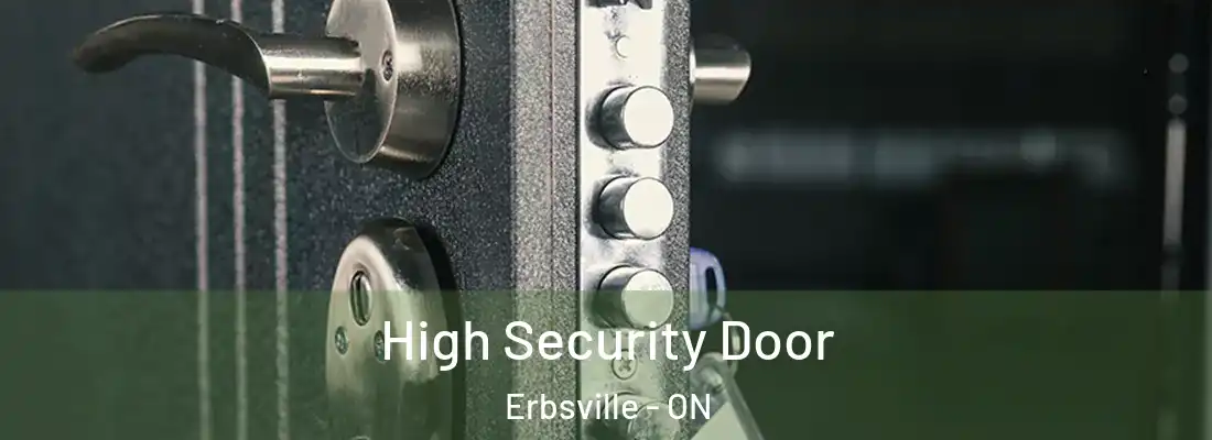  High Security Door Erbsville - ON