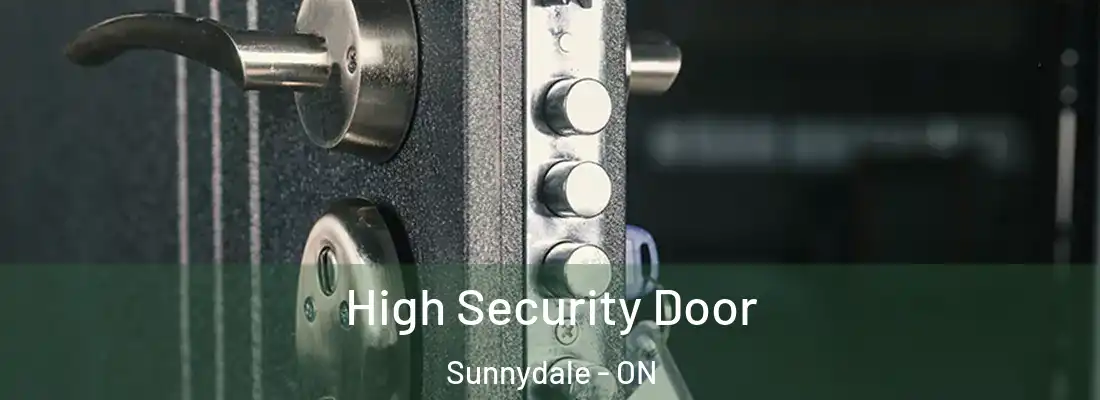  High Security Door Sunnydale - ON