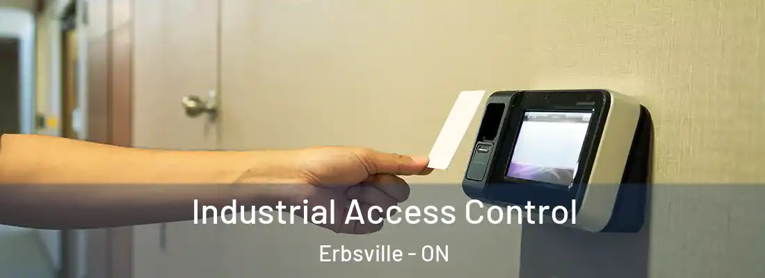  Industrial Access Control Erbsville - ON