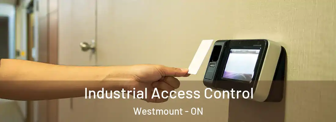  Industrial Access Control Westmount - ON