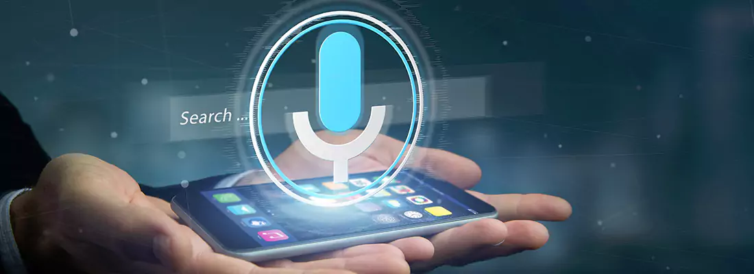 Enhance Security with Voice Recognition Access Systems in Erbsville, ON