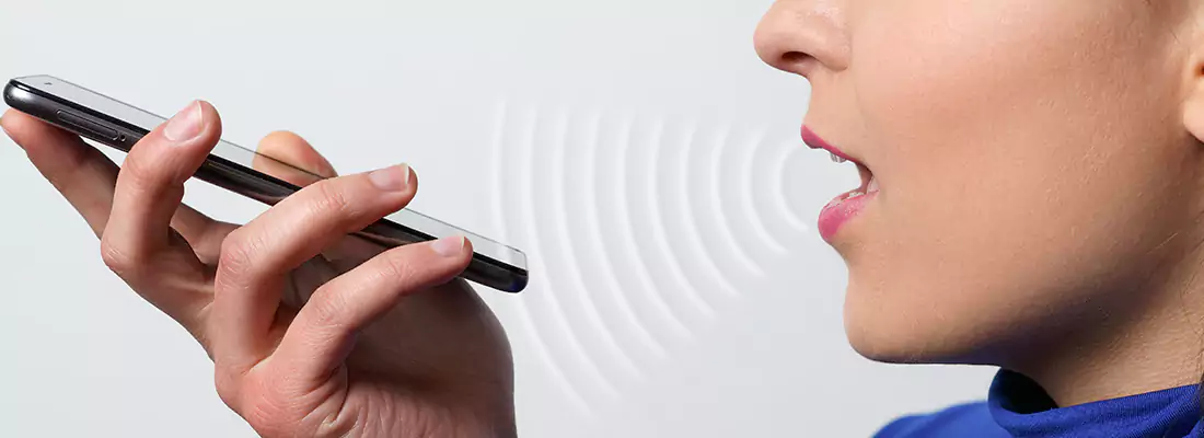 Residential and Commercial Voice Recognition Access Solutions in Erbsville, ON