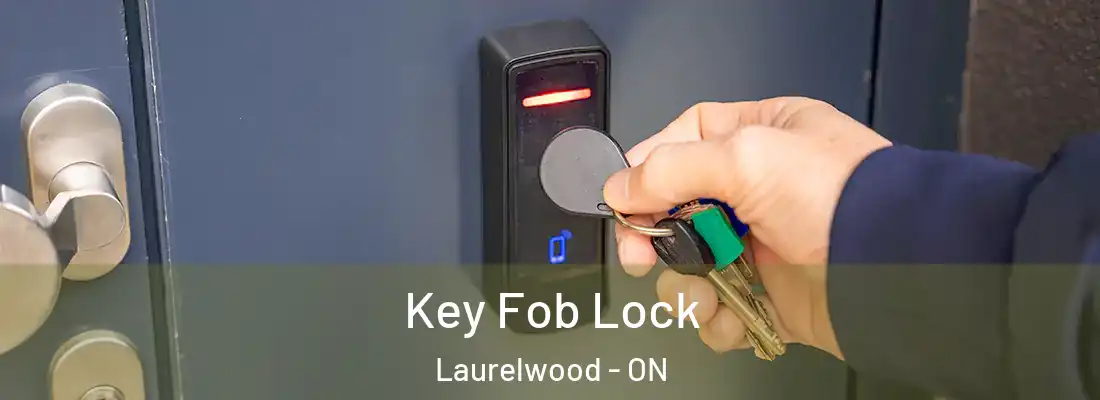  Key Fob Lock Laurelwood - ON