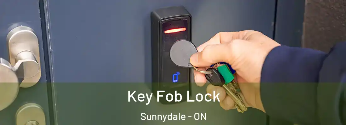  Key Fob Lock Sunnydale - ON