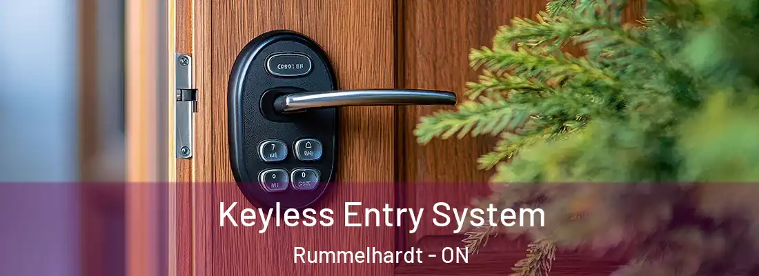  Keyless Entry System Rummelhardt - ON