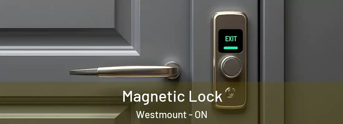 Magnetic Lock Westmount - ON