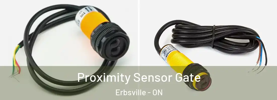  Proximity Sensor Gate Erbsville - ON