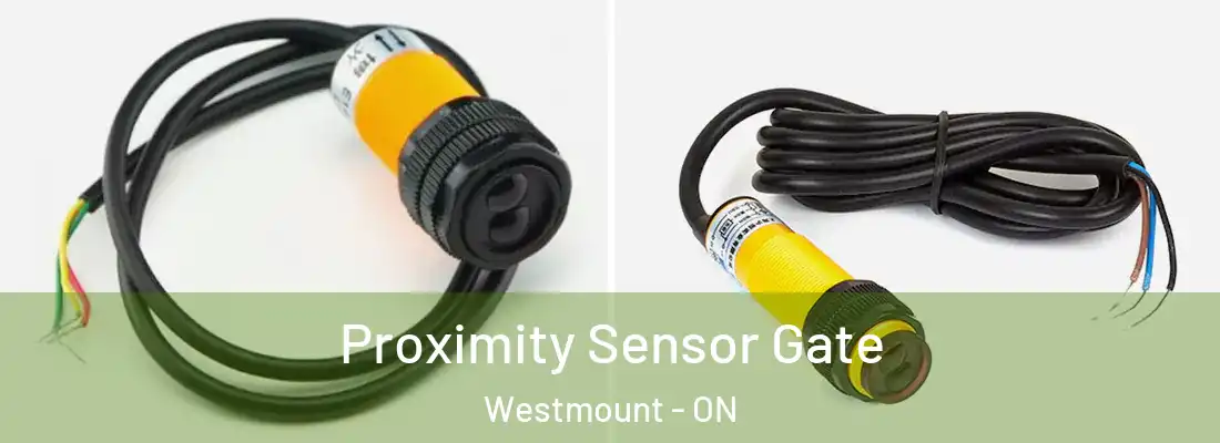  Proximity Sensor Gate Westmount - ON