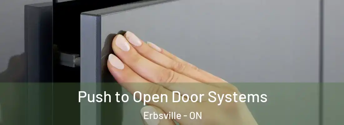  Push to Open Door Systems Erbsville - ON