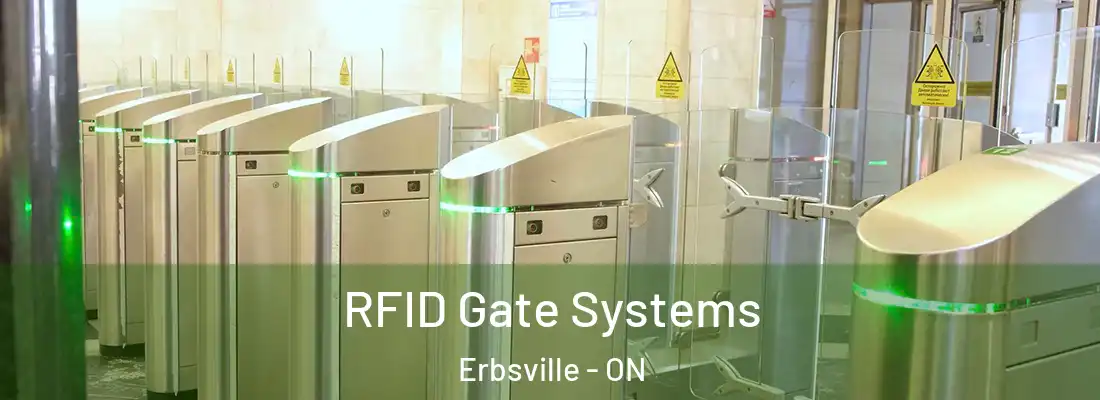  RFID Gate Systems Erbsville - ON