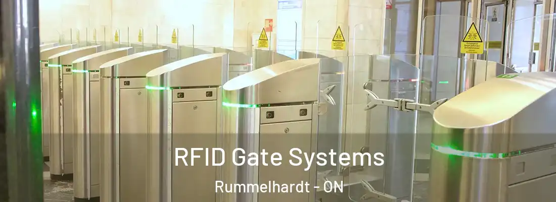  RFID Gate Systems Rummelhardt - ON