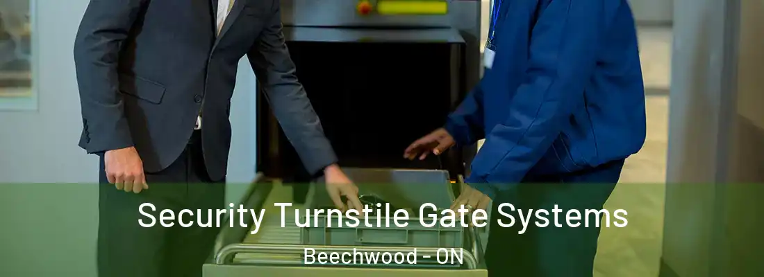  Security Turnstile Gate Systems Beechwood - ON