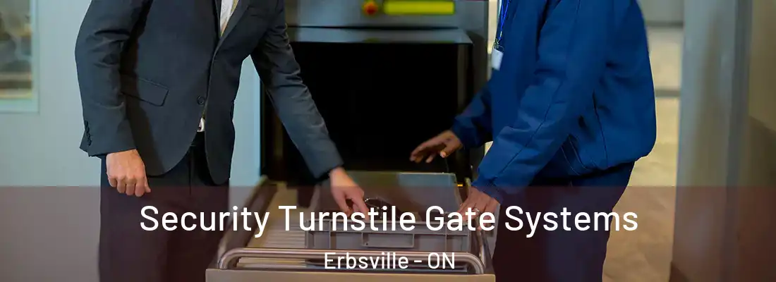  Security Turnstile Gate Systems Erbsville - ON