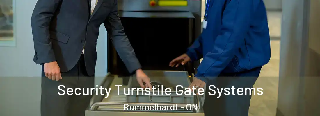  Security Turnstile Gate Systems Rummelhardt - ON