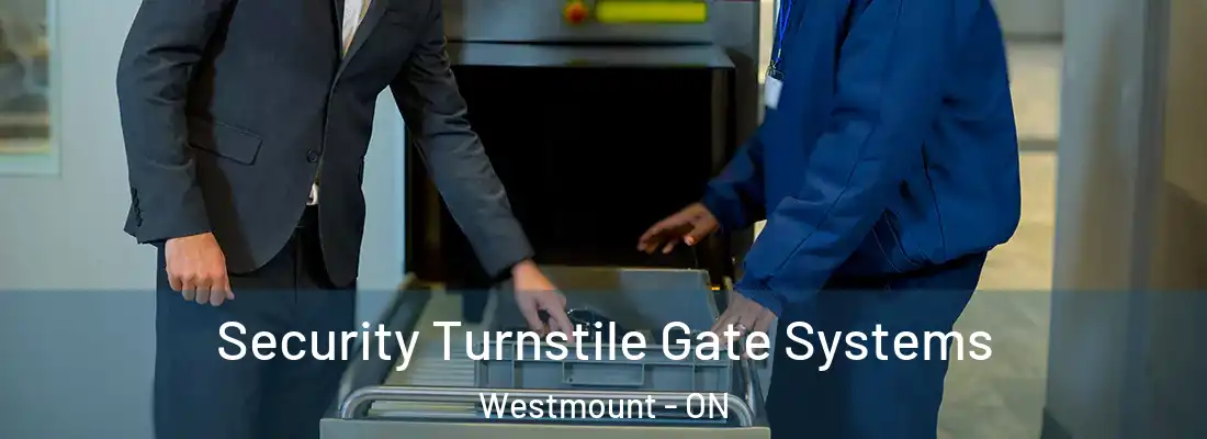  Security Turnstile Gate Systems Westmount - ON