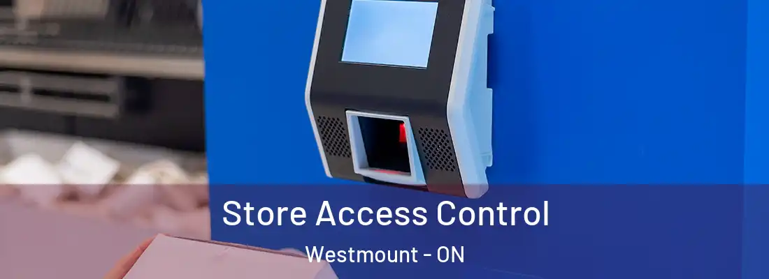  Store Access Control Westmount - ON