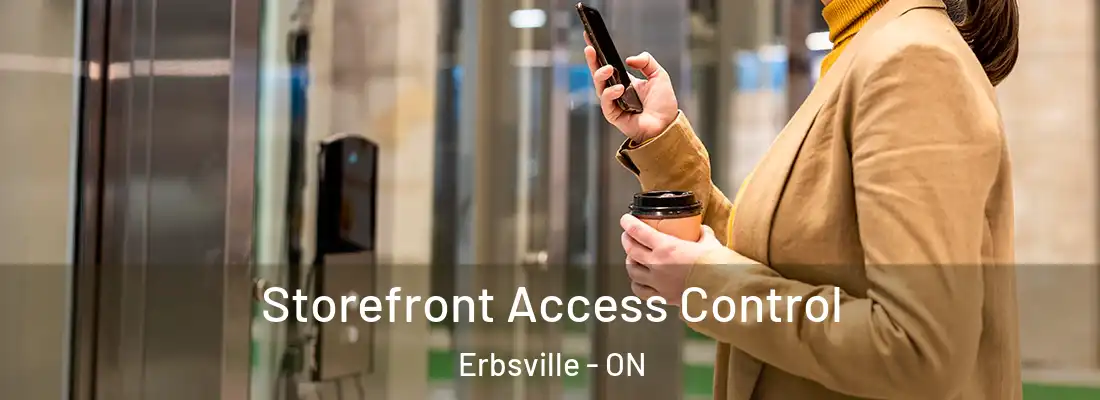  Storefront Access Control Erbsville - ON