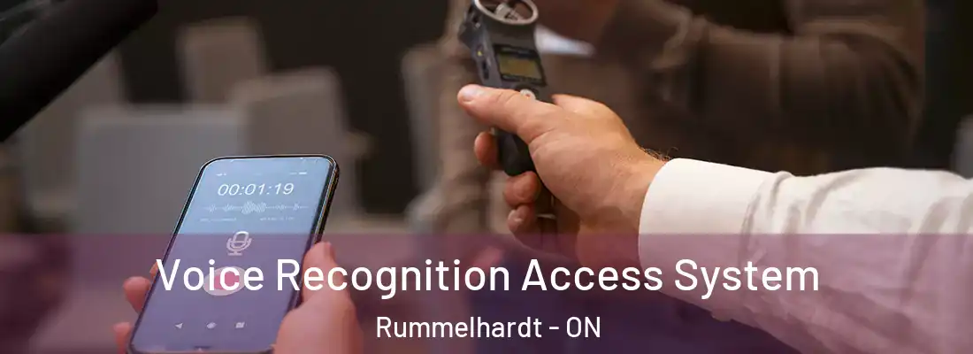  Voice Recognition Access System Rummelhardt - ON